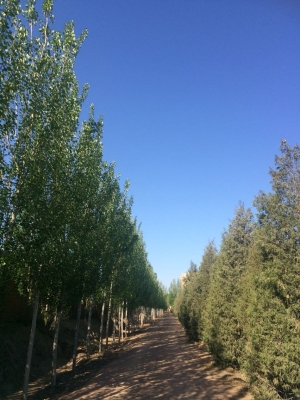 赤峰市紅山區(qū)收廢品電話-第1張圖片