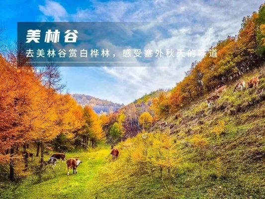 赤峰山頂酒店電話多少啊-第1張圖片