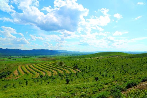 新林鎮(zhèn)去赤峰拼車電話號碼-第1張圖片