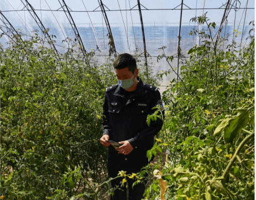 赤峰市禁毒電話號(hào)碼是多少-第1張圖片