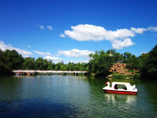 赤峰相機(jī)實(shí)體店電話地址查詢-第1張圖片