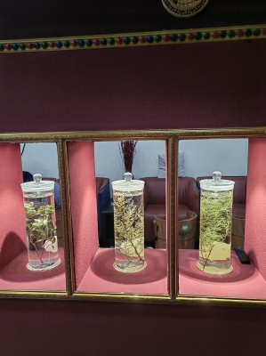 赤峰藏浴養(yǎng)生館電話地址查詢-第1張圖片