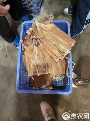 赤峰魷魚干批發(fā)電話地址查詢-第1張圖片