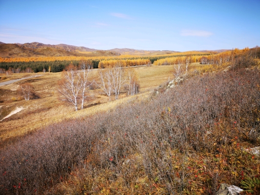 赤峰林西皮帶廠電話號(hào)碼-第1張圖片