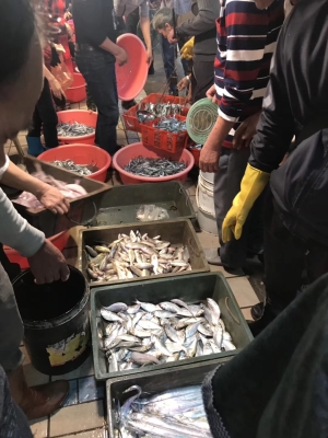 赤峰水榭花都甜品店電話號碼-第1張圖片