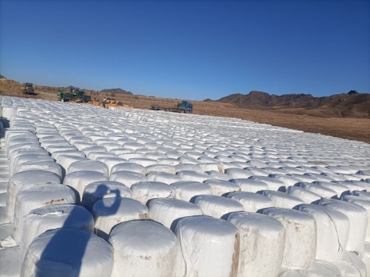 赤峰青儲棉被廠家電話號碼-第1張圖片