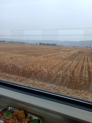 赤峰吉米發(fā)型店地址電話號碼-第1張圖片