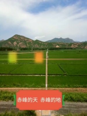 赤峰快手廣告發(fā)布公司電話號碼-第1張圖片