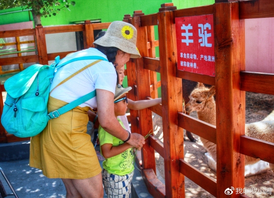 赤峰市親子證明中心電話號碼-第1張圖片