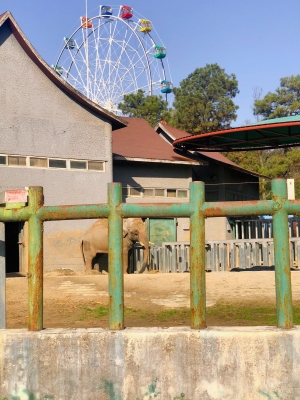 赤峰紅山區(qū)大姐遛彎電話號(hào)碼-第1張圖片