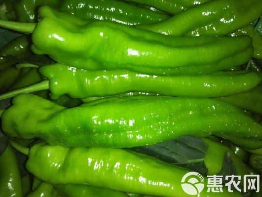 赤峰寧城批發(fā)涼皮電話號碼-第1張圖片