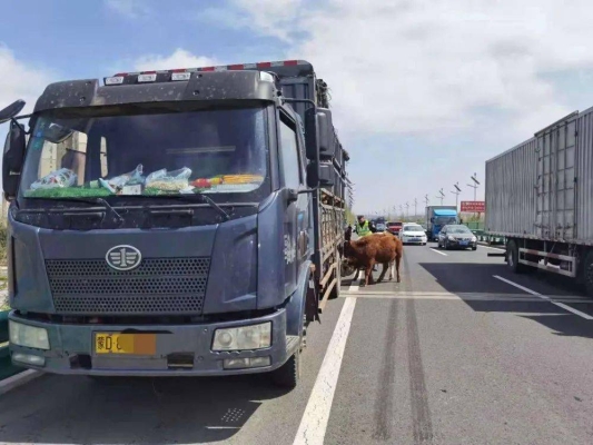 赤峰班車司機(jī)電話號(hào)碼查詢-第1張圖片