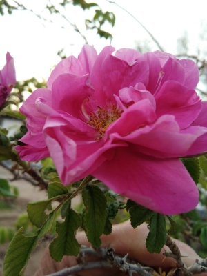 赤峰市書聲鄉(xiāng)政府電話號(hào)碼-第1張圖片