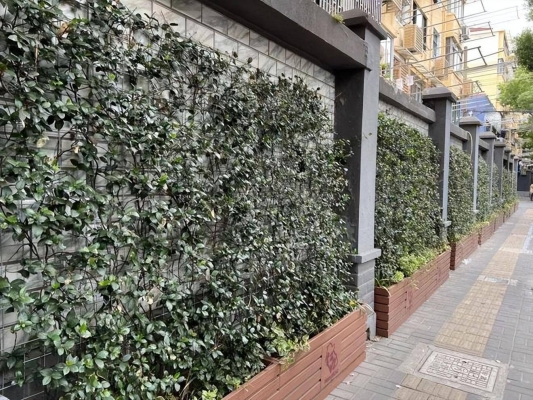 赤峰市新城花墻社區(qū)電話號(hào)碼-第1張圖片