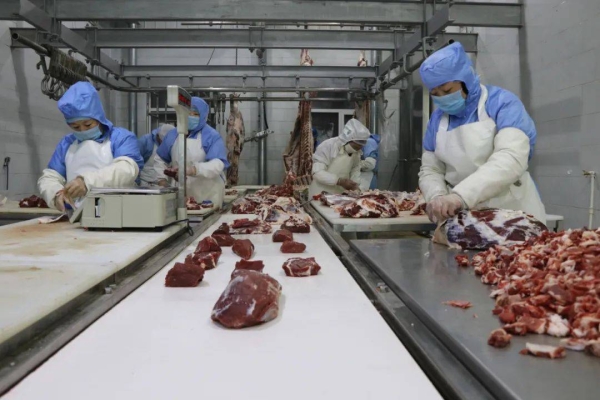 赤峰肉牛屠宰加工廠電話號碼-第1張圖片