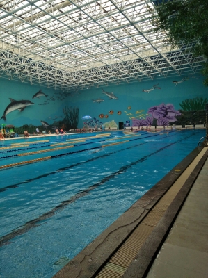 赤峰陽光游泳館電話號(hào)碼-第1張圖片