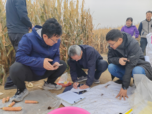 赤峰碎玉米回收電話號碼查詢-第1張圖片