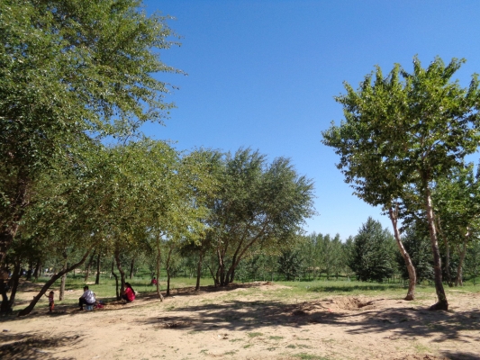 赤峰橋北修手機電話號碼-第1張圖片