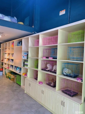 赤峰市金毛犬舍電話地址查詢-第1張圖片