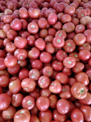 赤峰寧城海燕飯店電話多少號-第1張圖片