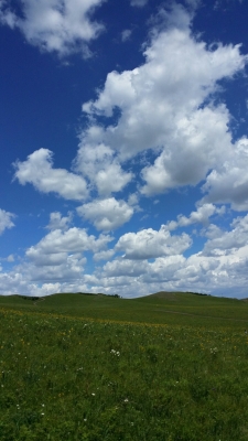 赤峰市婦幼烏蘭分院電話號(hào)碼-第1張圖片