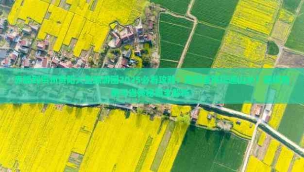 合肥到赤峰旅游團電話號碼-第1張圖片