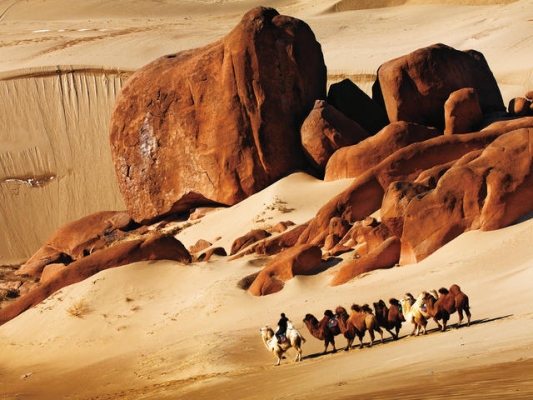 赤峰駱駝租賃公司電話多少號(hào)-第1張圖片