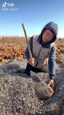 赤峰席記瓜子店電話地址查詢(xún)-第1張圖片