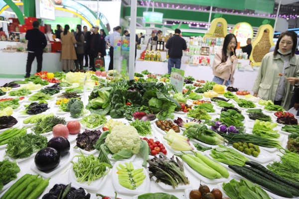 赤峰優(yōu)品推薦電話號碼查詢-第1張圖片