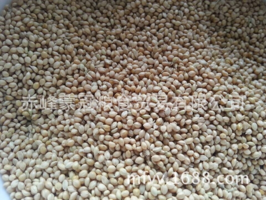 赤峰補水廠家有哪些電話號碼-第1張圖片