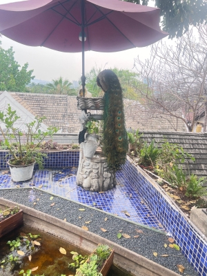 星光夜市赤峰店電話號(hào)碼查詢-第1張圖片