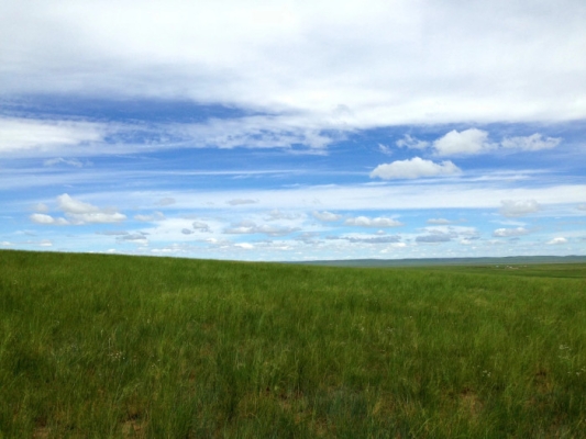 內(nèi)蒙赤峰西烏羊肉店電話-第1張圖片