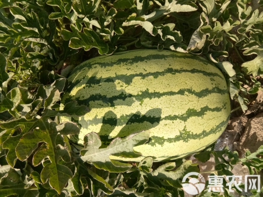 赤峰硒砂公司簡(jiǎn)介電話(huà)號(hào)碼-第1張圖片