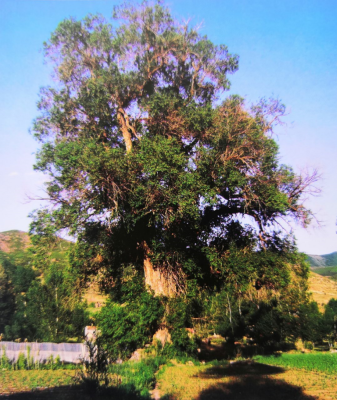 錦山鎮(zhèn)到赤峰拼車電話號(hào)碼-第1張圖片