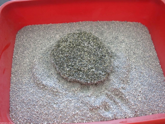 赤峰破碎貓砂電話多少號(hào)-第1張圖片