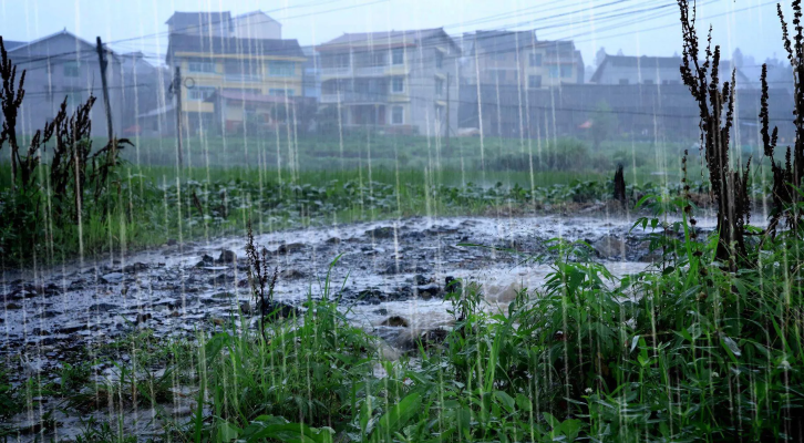 赤峰雨點供應(yīng)鏈招聘電話地址-第1張圖片