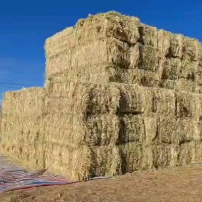 赤峰天然草捆出售信息電話號(hào)碼-第1張圖片