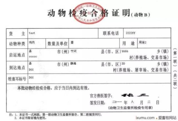 赤峰寵物托運(yùn)飛機(jī)電話號(hào)碼-第1張圖片