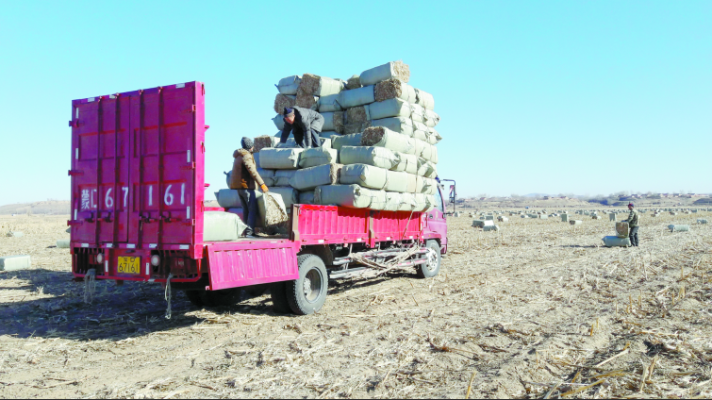 內(nèi)蒙赤峰飼料店電話號(hào)碼查詢-第1張圖片