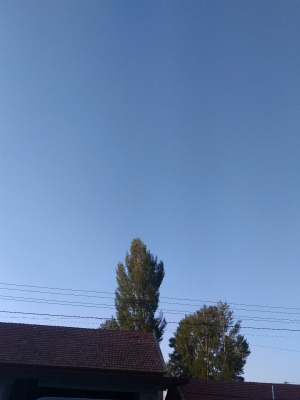 赤峰寧城機(jī)械加工廠電話號(hào)碼-第1張圖片