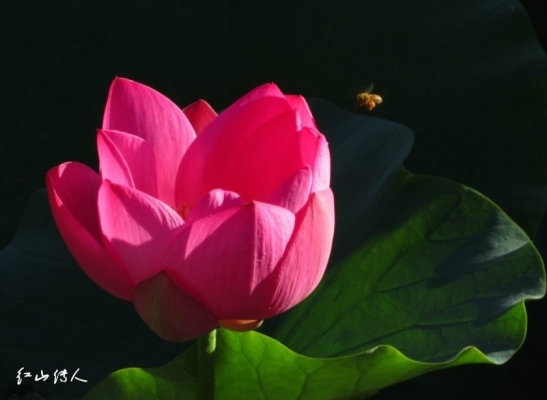 赤峰菲琳攝影店地址電話號(hào)碼-第1張圖片