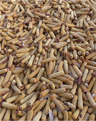 赤峰玉米制品廠電話號碼-第1張圖片