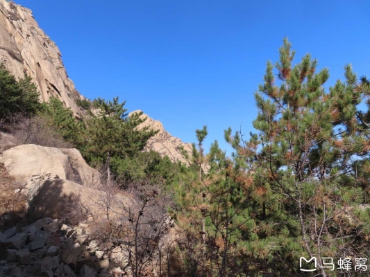 赤峰寧城跆拳道館電話(huà)號(hào)碼-第1張圖片