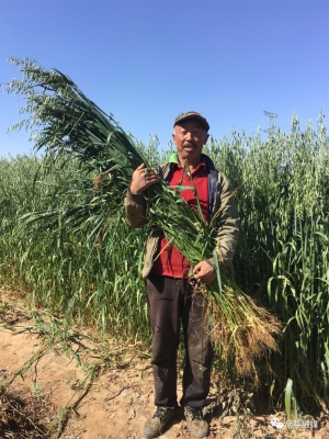 內(nèi)蒙赤峰助農(nóng)電話號碼查詢-第1張圖片