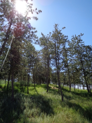 赤峰橋北烤冷面地址電話號碼-第1張圖片
