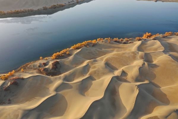 赤峰沙云原宿酒店電話號(hào)碼-第1張圖片