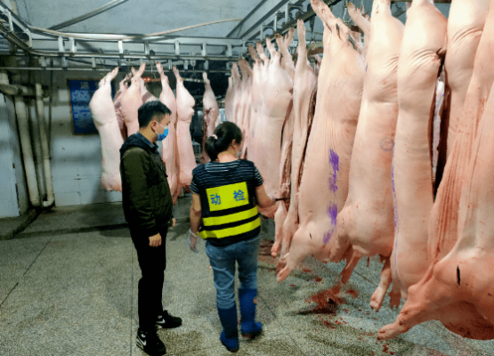 赤峰毛豬屠宰場電話號碼-第1張圖片