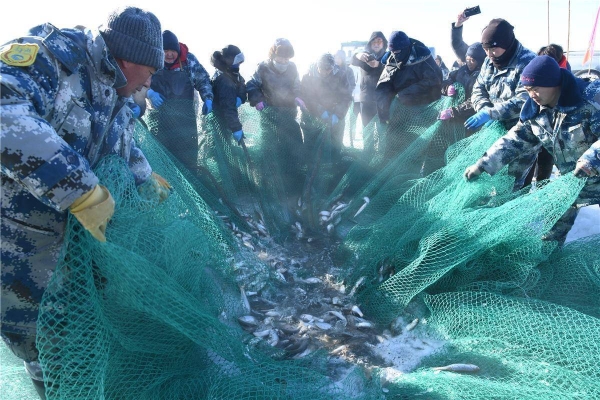 赤峰頭道街漁網(wǎng)專賣電話號碼-第1張圖片