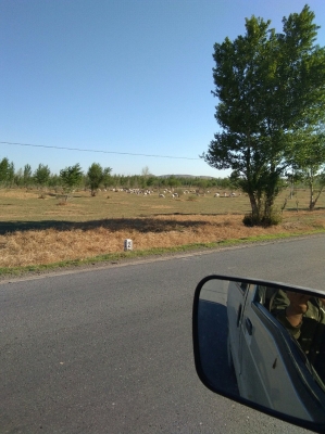 赤峰市敖漢旗順豐快遞電話-第1張圖片