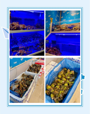 赤峰海鮮產(chǎn)品禮盒批發(fā)電話號(hào)碼-第1張圖片